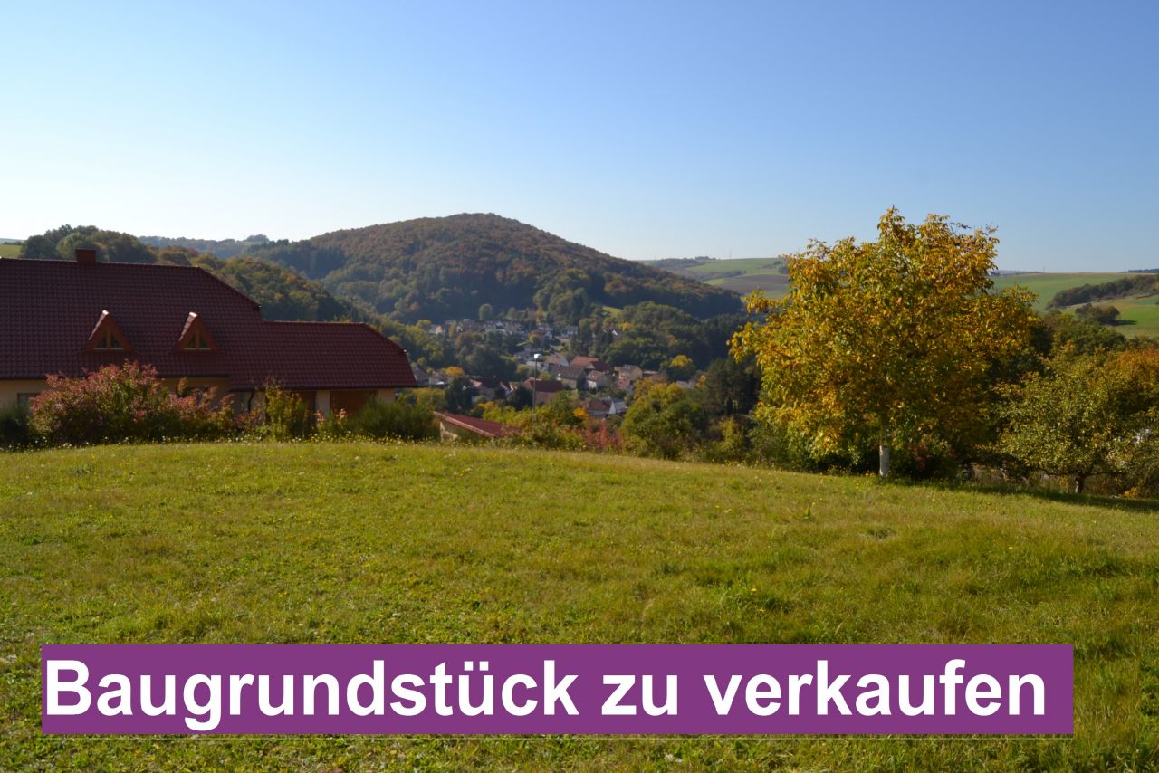 Niederkirchen: 2 Wunderschöne Baugrundstücke mit unverbaubarer Aussicht / Grundstück ist teilbar  Niederkirchen: 2 Wunderschöne Baugrundstücke mit unverbaubarer Aussicht / Grundstück ist teilbar