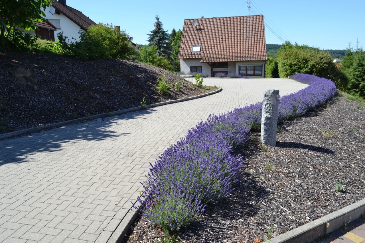 Nanzdietschweiler: VERKAUFT Sehr gepflegtes Ein-/Zweifamilienhaus mit großem Grundstück sucht eine neue Familie  Nanzdietschweiler: VERKAUFT Sehr gepflegtes Ein-/Zweifamilienhaus mit großem Grundstück sucht eine neue Familie