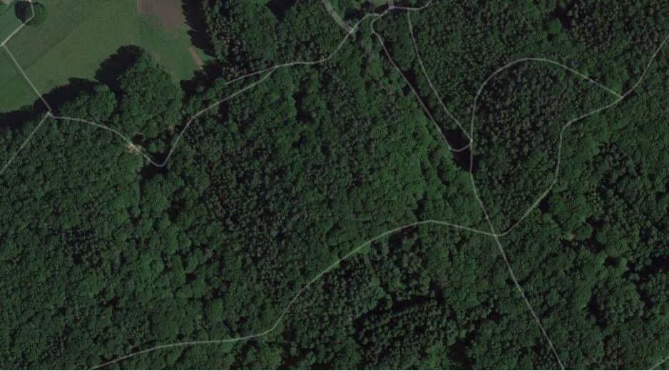 Bruchmühlbach- Miesau: Waldgrundstück in Vogelbach ( Reisberg ) zu verkaufen  Bruchmühlbach- Miesau: Waldgrundstück in Vogelbach ( Reisberg ) zu verkaufen